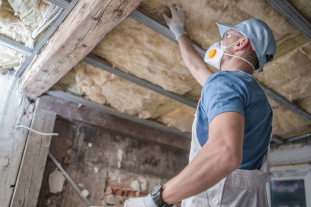 Best Residential Insulation in Pembroke Pines, FL